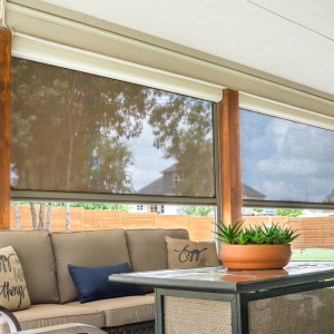 Motorized Screens
